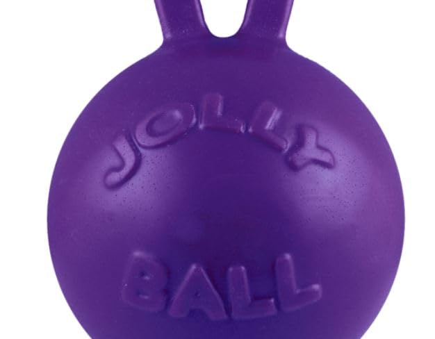 Jolly Pets Tug-n-Toss Heavy Duty Dog Toy Ball with Handle, 4.5 Inches/Small, Purple - color: Purple, size: Small (4.5 in)
