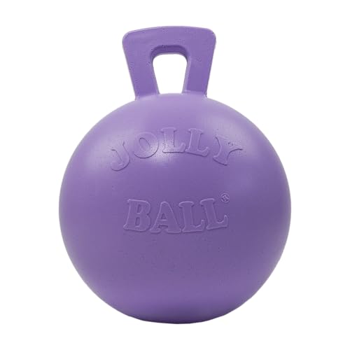 Jolly Pets Tug-n-Toss Heavy Duty Dog Toy Ball with Handle, 10 Inches/X-Large, Light Purple - color: Light Purple, size: XL (10 in)