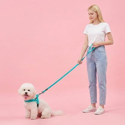 Didog Soft Flannel Padded Dog Vest Harness, No Pull/Quick Fit Reflective Dog Strap Harness, Easy for Training Walking (S:Chest 18-22", Green) - color: Teal, size: S:chest 18-22"