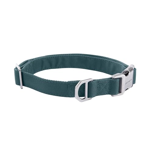 Carhartt Field Dog Collar, Fully Adjustable, Durable 600-Denier Fabric W/Reflective Wordmark for Visibility, Greenstone, Medium - color: Greenstone, size: Medium