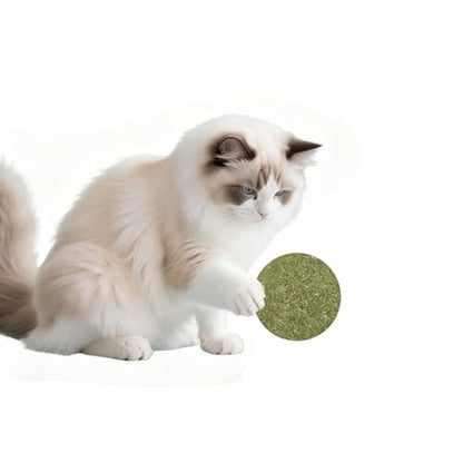 Catnip Balls for Cats - 2 inches Diameter Catnip Ball, Interactive Cat Toy for Indoor Cats, Cat Nip Licking Balls - size: 2 inch