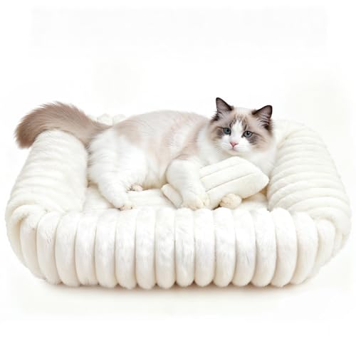 Cat Beds for Indoor Cats, Square Self Warming Cat Bed Orthopedic Pet Bed with Pillow Super Soft Rabbit Fur Small Dog Beds, Calming Plush Kitten Bed with Removable Washable Cover & Anti-Slip Bottom - size: 22*18*6 inces