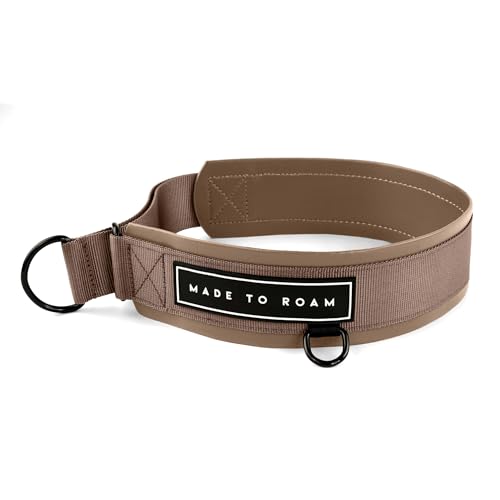 MADE TO ROAM Premium Everyday Dog Collar - Martingale Style No Pull Vegan Leather Collar, Heavy Duty and Lightweight for Small, Medium, Large Dogs (Utah Glow, Size 6) - color: Utah Glow, size: Size 6