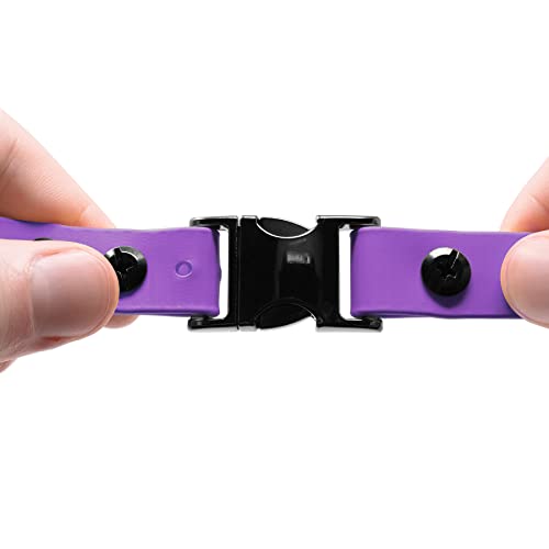 Educator Quick Snap 3/4" Bungee Dog Training Collar Strap – Fits ME-300, ET-300/400, EZ-900, PE-900 & PG-300 – Trim-to-Fit Biothane Collar for Small Dogs, Purple - color: Purple