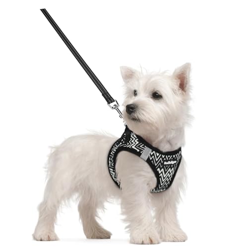 rabbitgoo Dog Harness Small Sized and Leash Set, Step in Soft Light Puppy Vest, Breathable Mesh Pet Harness, Reflective for Safe Easy Walking, Blach Zigzag S - color: Black Zigzag, size: S (chest: 15.1 - 16.5")