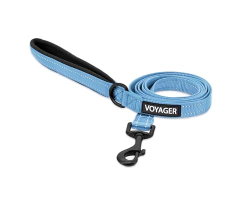 Best Pet Supplies Voyager Reflective Dog Leash or Collar with Neoprene Handle, for Small, Medium, and Large Breed Puppies, Cute and Heavy Duty for Walking, Running and Training - Baby Blue (Leash), S - color: Leash (Baby Blue), size: Small (5/8" x 5ft)