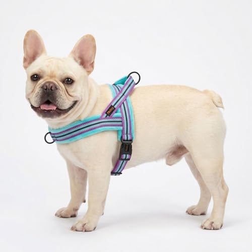 Didog Soft Flannel Padded Dog Vest Harness, No Pull/Quick Fit Reflective Dog Strap Harness, Easy for Training Walking (S:Chest 18-22", Mixed-Blue) - color: Mixed-Blue, size: S:chest 18-22"