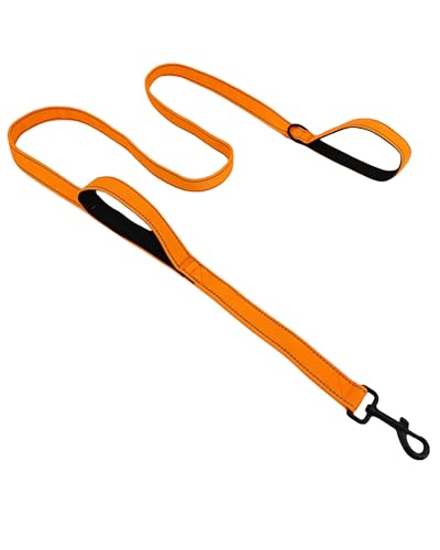 Solmoony 6FT Orange Strong Dog Leash with 2 Padded Handles, Traffic Handle Extra Control, Double-Sided Reflective Walking Lead for Small Medium and Large Dog (Orange, 6FT) - color: Orange, size: 6FT