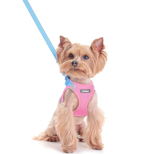 rabbitgoo Dog Harness Small Sized and Leash Set, Step in Soft Light Puppy Vest, Breathable Mesh Pet Harness, Reflective for Safe Easy Walking, Blue & Light Pink XXS - color: Blue & Light Pink, size: Xxs (chest: 12.4 - 14.2")