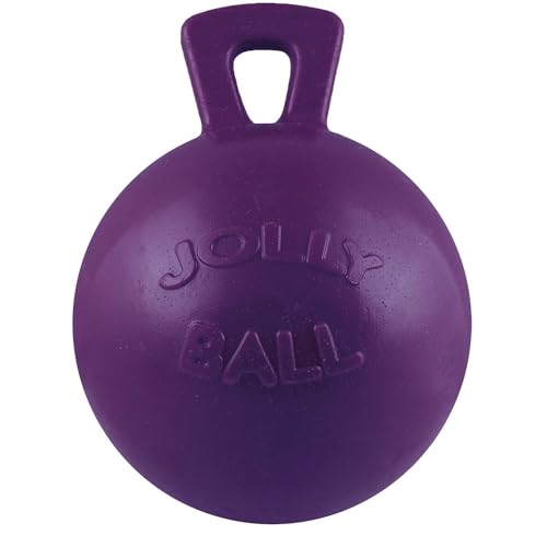 Jolly Pets Tug-n-Toss Heavy Duty Dog Toy Ball with Handle, 4.5 Inches/Small, Purple - color: Purple, size: Small (4.5 in)