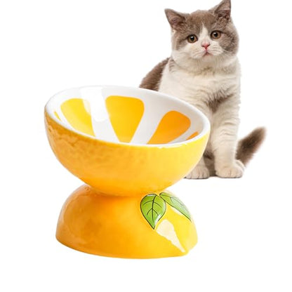 Hamiledyi Ceramic Raised Cat Bowl 5In Elevated Wide Cat Bowl for Food and Water Anti Vomiting Tilted Pet Feeder Dish for Indoor Cats and Small Dogs(Lemon)
