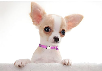 Light Purple Kitten Collar with Bell, Reflective Nylon XS Cat Collars Soft Puppy Collar Adjustable Buckle for XSmall Small Dogs Puppies Female Tiny Pets Boy Girl Kitten Yorkie X-Small - color: Purple