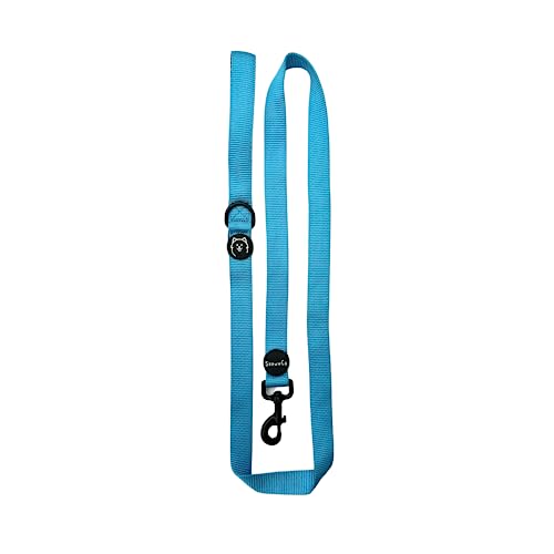 ShawnCo Dream Walk Dog Leash- Premium, Nylon Pet Leash with Soft Neoprene Handle for Small, Medium and Large Dogs (Oceanic Blue, Small) - color: Oceanic Blue, size: Small