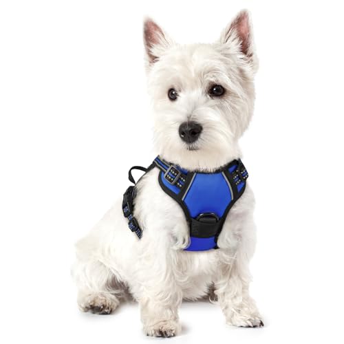 rabbitgoo Dog Harness No Pull with 2 Leash Clips, Adjustable Soft Padded, Reflective Oxford No Choke Pet Vest with Easy Control Handle for Puppy, Dazzling Blue,XS - color: Dazzling Blue, size: X-Small