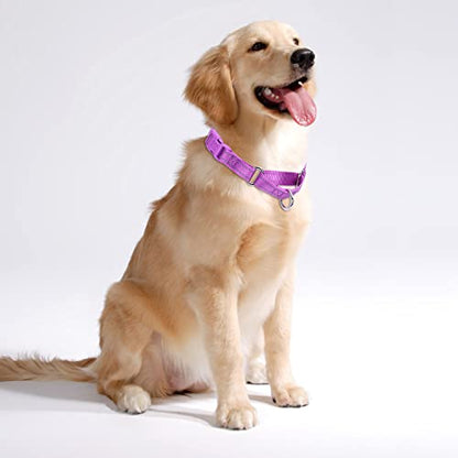Martingale Dog Collars - Reflective Dog Collar with Quick Release Buckle Adjustable Nylon Training D Solution for Large, Medium, and Small Dogs (M, Purple) - color: Purple, size: M