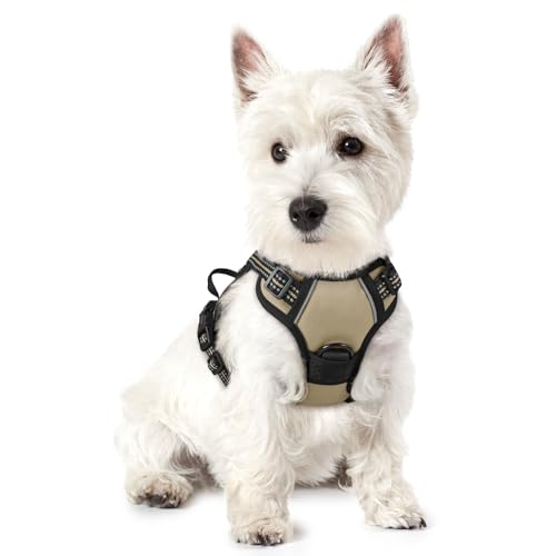 rabbitgoo Dog Harness No Pull with 2 Leash Clips, Adjustable Soft Padded, Reflective Oxford No Choke Pet Vest with Easy Control Handle for Puppy, Beige, XS - color: Beige, size: X-Small