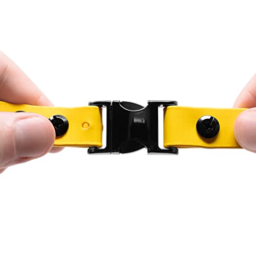 Educator 3/4-Inch Dog Training Collar Strap–ONLY Fits ME-300, ET-300/400, EZ-900, PE-900 & PG-300 Receivers – NOT Compatible with FE-580, ET-800 or UL-1200–Quick Snap Biothane Bungee Collar, Yellow - color: Yellow