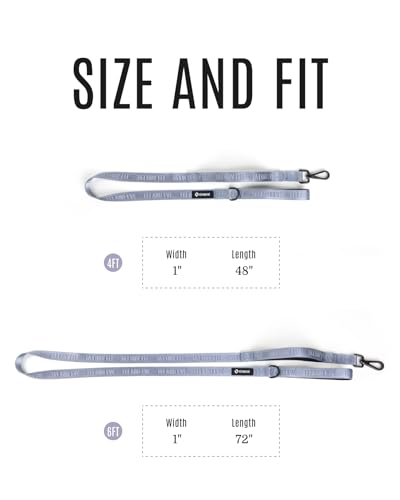 Fei & Eve Classic Dog Leash - 4FT, Dual Padded Handles, 360° Swivel Hook, Heavy Duty 210D Nylon - No-Pull Design with Traffic Control Handle - for Small/Medium/Large Dogs, Gray - color: Twilight Gray, size: 4FT