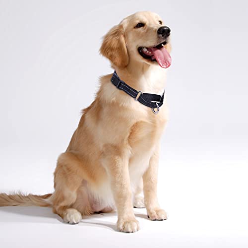Martingale Dog Collars - Reflective Dog Collar with Quick Release Buckle Adjustable Nylon Training D Solution for Large, Medium, and Small Dogs (M, Black) - color: Black, size: M