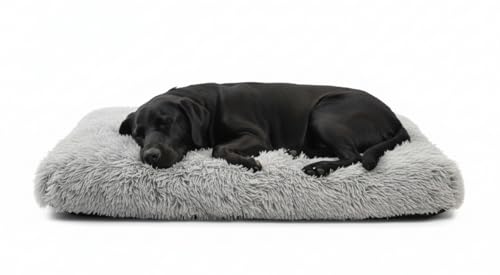 Dog beds, pet beds(XX-Large) - Premium Quality, Washable & Portable, Eco-Friendly, Multiple Sizes, Stylish Design, Removable Cover, Size XXLarge(47.24 X 31.49 X 3.93) inch - size: XX-Large