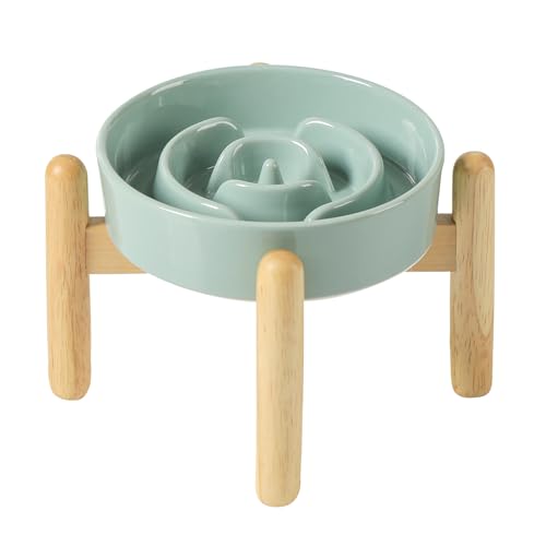 Havniva 6.1” Raised Slow Feeder Dog Bowls, 0.9 Cups Ceramic Dog Bowl Slow Feeding for Small Breed, Elevated Puzzle Dog Food Bowl with Wooden Stand Non-Slip Anti-Gulping & Anti-Choking - color: 1 x Light Green+Stand-A, size: 6.1inch-New
