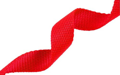AMAGOOD Dog/Puppy Obedience Recall Training Agility Lead-15 ft 20 ft 30 ft 50 ft Long Leash-for Dog Training,Tie Out,Play,Safety,Camping (30Feet x 1Inch,Red) - color: Red, size: 1" x 30ft