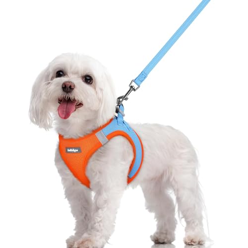 rabbitgoo Dog Harness Small Sized and Leash Set, Step in Soft Light Puppy Vest, Breathable Mesh Pet Harness, Reflective for Safe Easy Walking, Blue & Orange M - color: Blue & Orange, size: M (chest: 16 - 18.5")