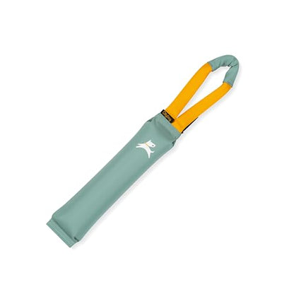 OllyDog Tugger | Durable Dog Tug Toy | Recycled | Tough Dog Bite Pillow | Handle | Interactive Pull Toy | Fetch & Training (Surf) - color: Surf