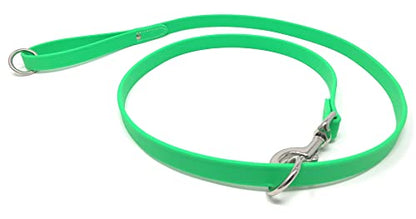 Regal Dog Products Waterproof Leash – 5 ft. Green Dog Leash with Easy to Use Collar Hook, Lightweight, and Proof Training Pet Lead with Vinyl-Coated Webbing for Small, Medium, Large, or XL Dogs - color: Green