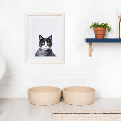 Pearhead Ceramic Cat Bowl – Neutral Taupe “Meow” Design, Holds 1.3 Cups, Stoneware Pet Dish, Whisker-Friendly Pet Feeding Bowl, Non-Skid, Small (Pack of 2) - color: Taupe "Meow", size: Bowl Set