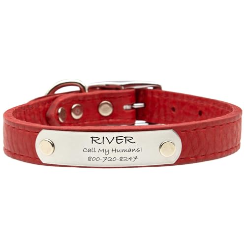dogIDs Personalized Soft Designer Leather Dog Collar - Adjustable, Odor Resistant, Built-in Custom Laser Engraved Rivet on Name Plate - Tobacco Brown - 1/2 in Wide x 9 in Neck - color: Tobacco Brown, size: 1/2 in wide x 11 in (its 8-10 inch necks)