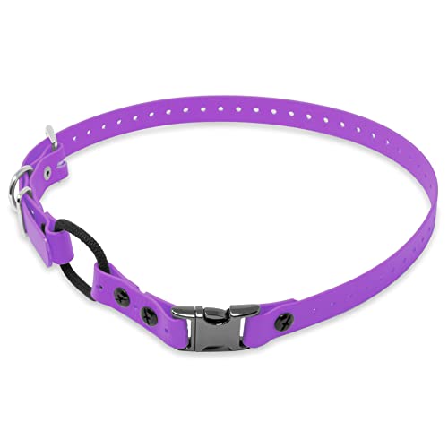 Educator Quick Snap 3/4" Bungee Dog Training Collar Strap – Fits ME-300, ET-300/400, EZ-900, PE-900 & PG-300 – Trim-to-Fit Biothane Collar for Small Dogs, Purple - color: Purple