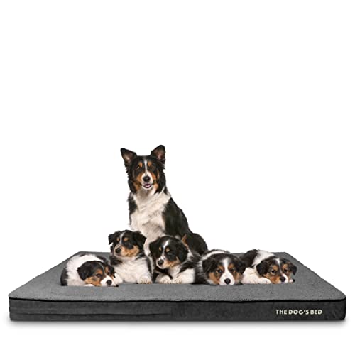 The Dog’s Bed Orthopedic Memory Foam Dog Bed for XXXL Dogs, Waterproof Washable Cover, Anti-Slip Base, Calming Surface – CertiPUR-Certified Foam, Grey Plush, 4 Inch Thick - color: Grey Plush, size: XXXL Beds (4" deep)