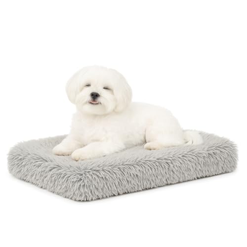 Dog Bed, pet beds (Small) - Premium Quality, Washable & Portable, Eco-Friendly, Multiple Sizes, Stylish Design, Removable Cover, Size Small(15.75 X 11.81 X 2) inch - size: Small