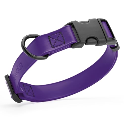 Dogline Biothane Waterproof Dog Collar with Quick Release Buckle Strong Coated Nylon Webbing with Odor- Proof for Easy Care Easy to Clean Fits Small Medium Large Dogs, Purple 1" W 15-23" L - color: Violet Purple, size: 1"W by 15-25"L