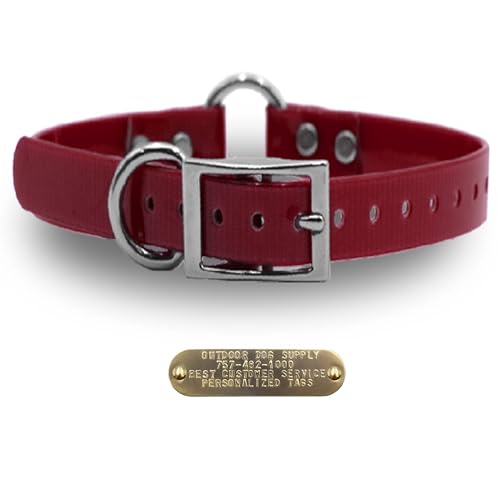 Outdoor Dog Supply 1" Heavy Duty Waterproof D-Ring & Center O-Ring Dog Collar for Medium & Large Dogs | Custom 3/4" Brass Nameplate (Burgundy, 18") - color: Burgundy, size: 18" Long
