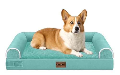 Medium Large Dog Bed Orthopedic Washable: Beds Bolster Medium Large Sized Dog Bed Egg Crate Foam Couch Sofa Waterproof with Removable Cover - Aqua Blue - color: Aqua Blue, size: 30.0"L x 20.0"W x 6.0"Th