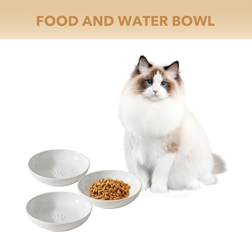 Havniva Ceramic Cat Bowl Whisker Friendly 5.5” Cat Dishes Shallow Cat Food Bowl Anti-Slip Pet Water Bowls for Indoor Cats, Wide Cat Food Dish Prevent Whisker Fatigue (3 Pack) - color: White - B