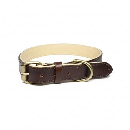 XanYu Premium Genuine Leather Dog Collar – Adjustable Heavy Duty Pet Collar with Sturdy Brass Buckle, Soft Padded & Stylish for Puppy and Small, Medium, Large Dogs (Brown)