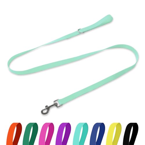 Waterproof Dog Leash, 5/6 FT Durable Odor-Proof Dog Leashes with Strong Metal Hooks Fits Small Medium or Large Dogs (Mint Green, 5FT - 3/4 inch Width) - color: Mint Green, size: 5FT - 3/4 inch Width