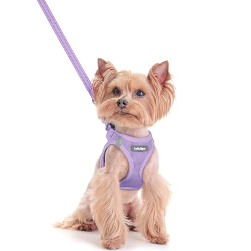 rabbitgoo Dog Harness Small Sized and Leash Set, Step in Soft Light Puppy Vest, Breathable Mesh Pet Harness, Reflective for Safe Easy Walking, Light Purple XXS - color: Light Purple, size: Xxs (chest: 12.4 - 14.2")