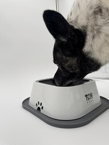 No Spill Dog Water Bowl with Silicone Mat - Spill Proof Slow Drinking Bowl for Home, Car & Travel - Mess-Free Water Bowl for Dogs