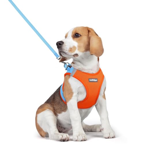 rabbitgoo Dog Harness Small Medium Sized and Leash Set, Step in Soft Light Puppy Vest, Breathable Mesh Pet Harness, Reflective for Safe Easy Walking, Blue & Orange L - color: Blue & Orange, size: L (chest: 18.2 - 20.5")