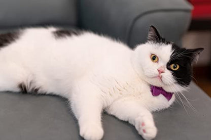 Cat Collar with Bow Tie Bell Breakaway Kitten Small Pet Safety Solid Wedding Basic Pure Color Suede Soft Adjustable [1pc] Rose Red - color: [1pc] Rose Red