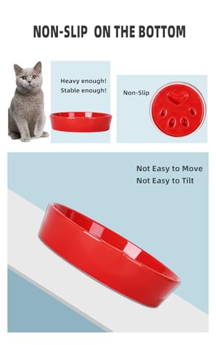 Slow Feeder Cat Bowls, Ceramic Fun Slow Eater Bowl for Cats (Red)