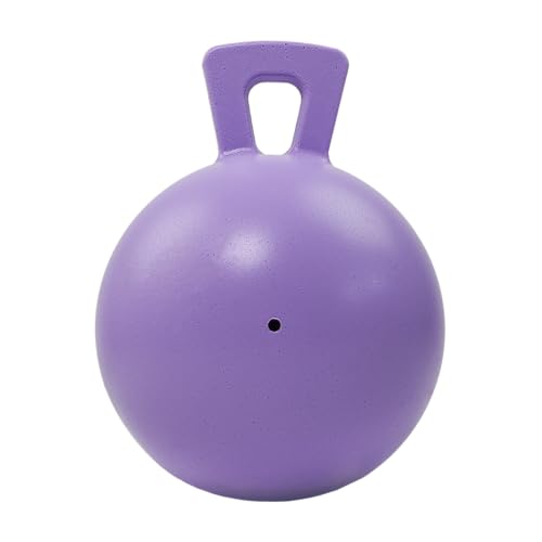 Jolly Pets Tug-n-Toss Heavy Duty Dog Toy Ball with Handle, 10 Inches/X-Large, Light Purple - color: Light Purple, size: XL (10 in)