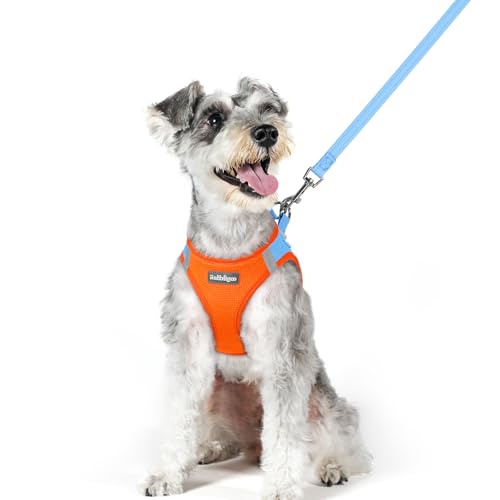rabbitgoo Dog Harness Small Medium Sized and Leash Set, Step in Soft Light Puppy Vest, Breathable Mesh Pet Harness, Reflective for Safe Easy Walking, Blue & Orange XL - color: Blue & Orange, size: Xl (chest: 20 - 21.8")