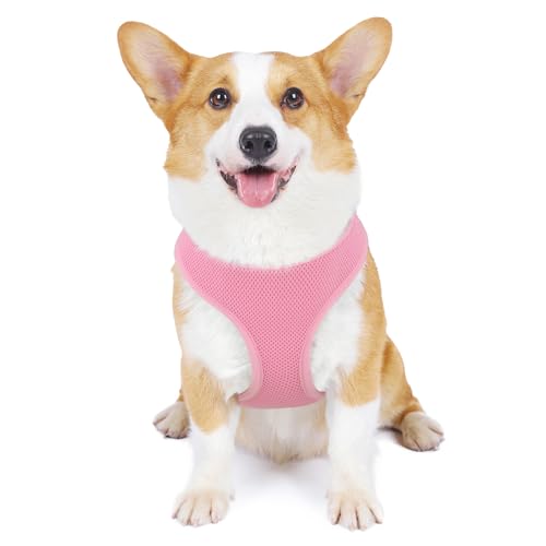 MoNiBloom Dog Harness for Small Sized Dog, Soft Puppy Padded Vest for Walking, Running, Training - Pink, M - color: Pink, size: M