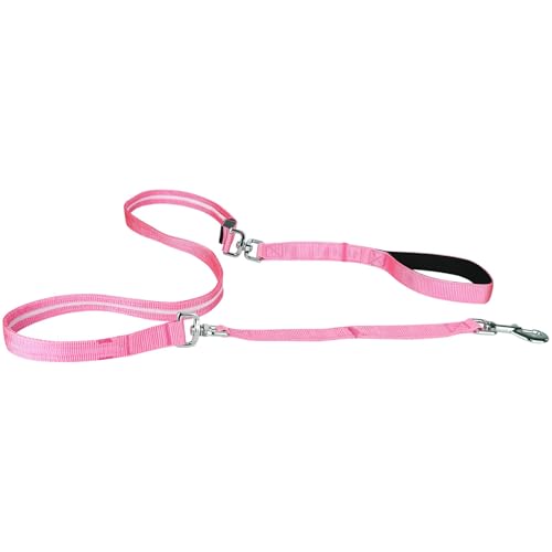Light up Dog Leash for Night Walking - USB C Rechargeable - Waterproof - Dog Leashes with Flashlight - LED Leash for Dogs - 6Ft, Pink - color: Pink