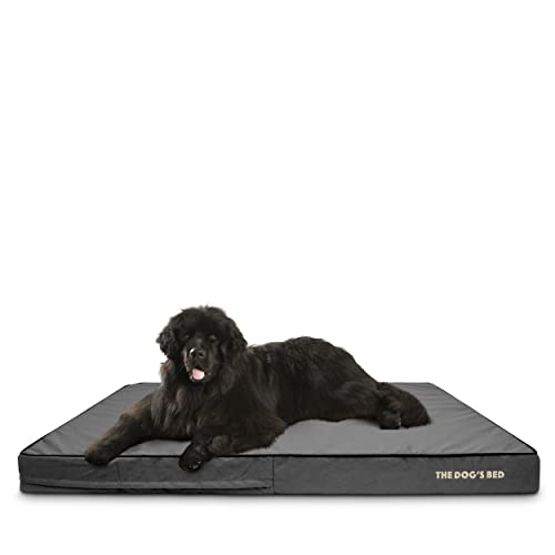 The Dog’s Bed Orthopedic Memory Foam Dog Bed for XXXL Dogs, Waterproof Washable Cover, Anti-Slip Base, Calming Surface – CertiPUR-Certified Foam, Grey with Black Trim, 6 Inch Thick - color: Grey with Black Trim, size: XXXL Beds (6" deep)
